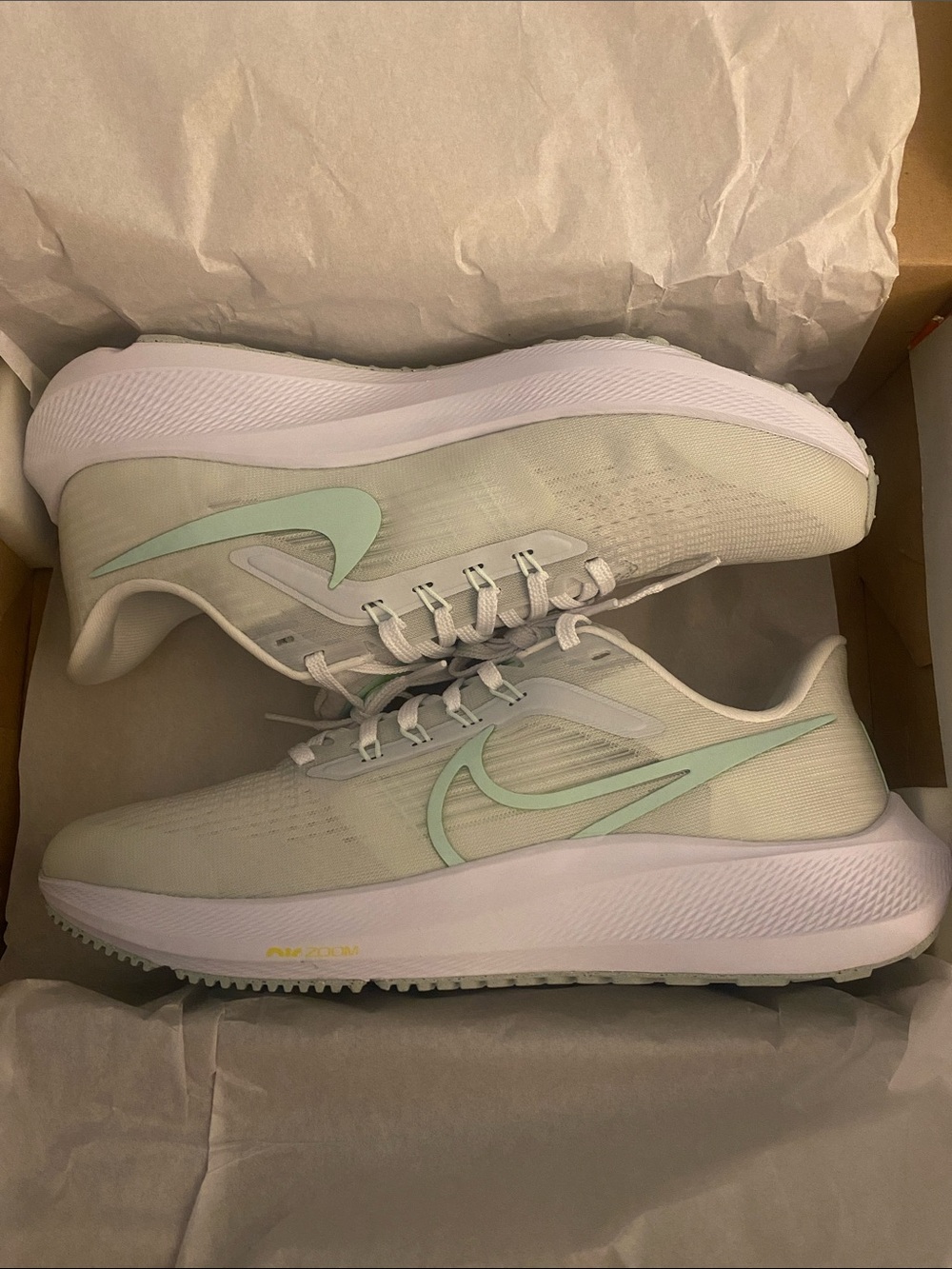 Nike Women's Air Zoom Pegasus 39 in Mint Green and White - Lightweight Trainer